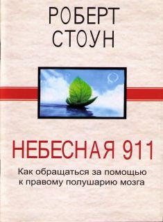Небесная 911